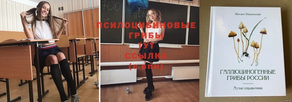 винт Богородицк
